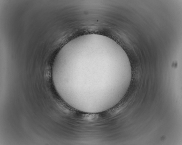 X0000096970135200802291130