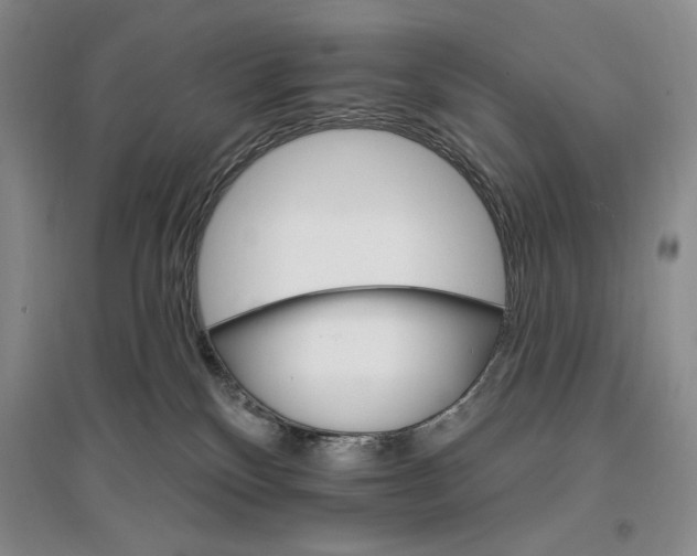 X0000096970136200802291130