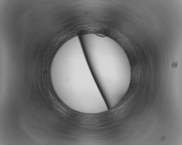 X0000096970137200802291130