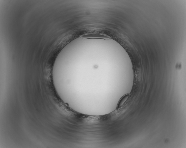 X0000096970138200802291130