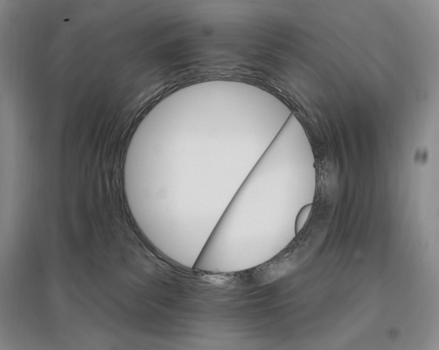 X0000096970139200802291130