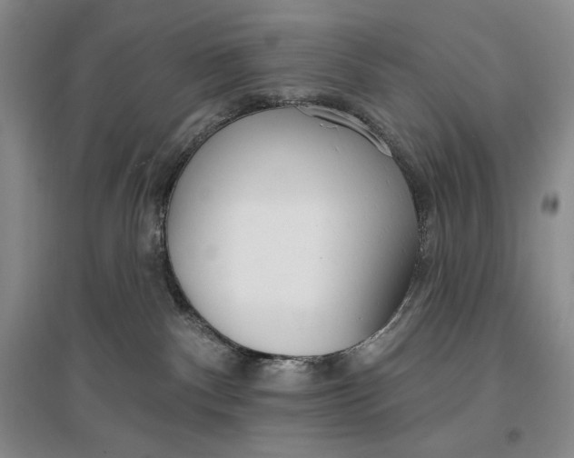 X0000096970140200802291130