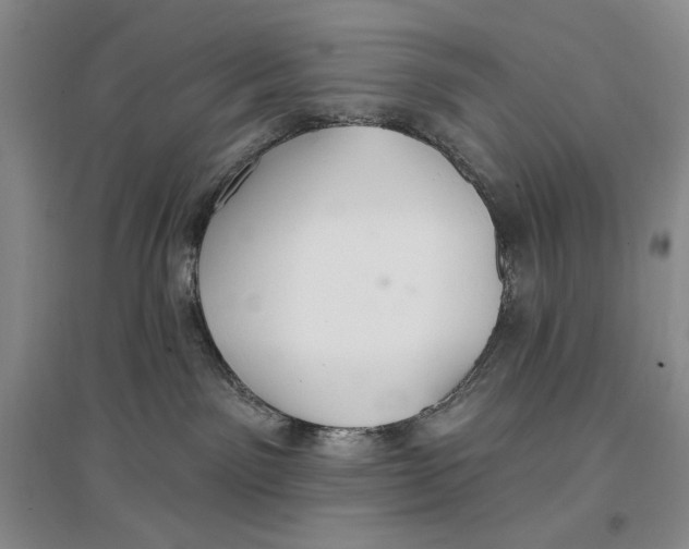 X0000096970141200802291130