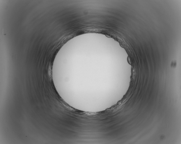 X0000096970143200802291130