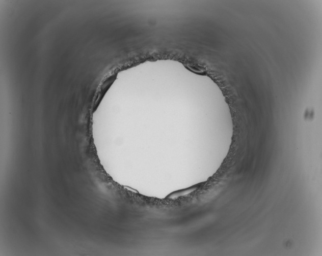 X0000096970144200802291130