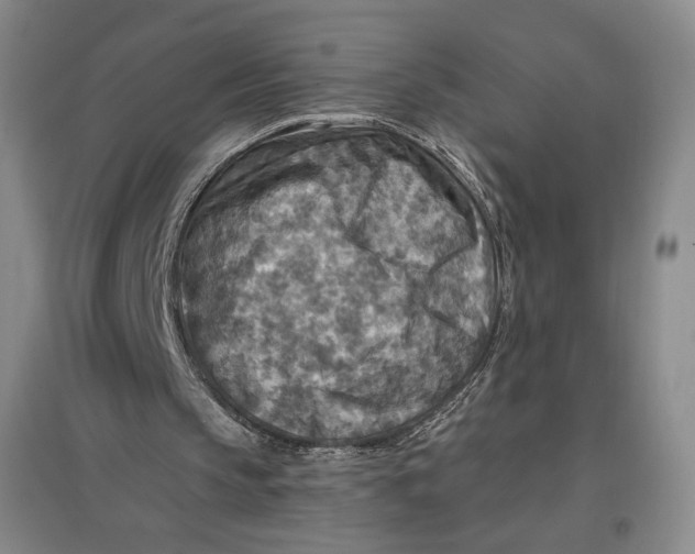 X0000096970145200802291130