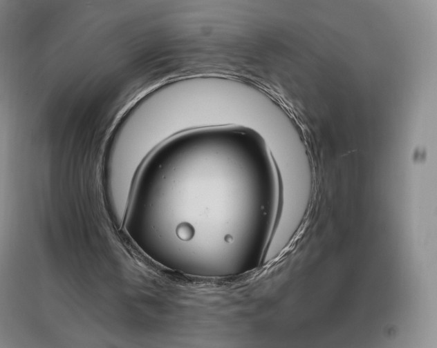 X0000096970146200802291130