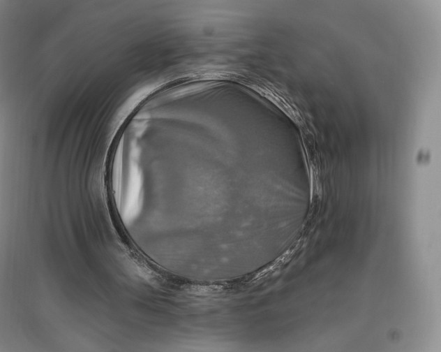 X0000096970147200802291130