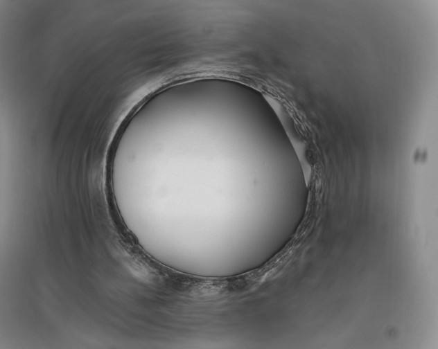 X0000096970148200802291130