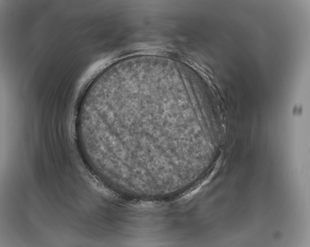 X0000096970149200802291130