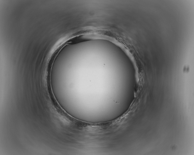 X0000096970150200802291130