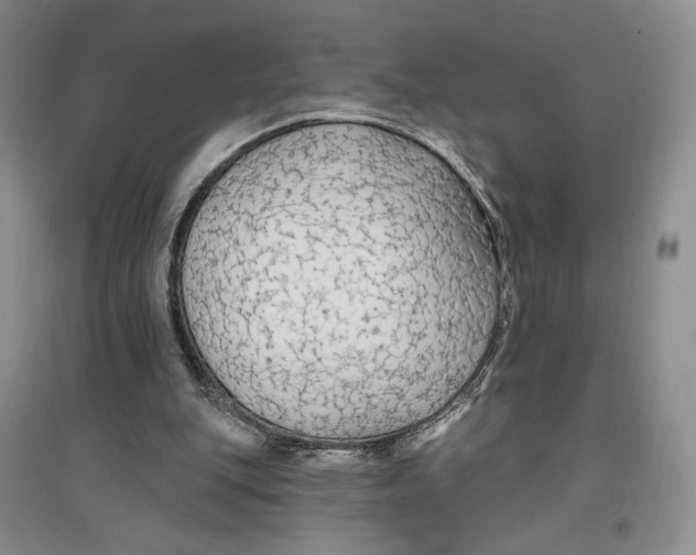 X0000096970151200802291130