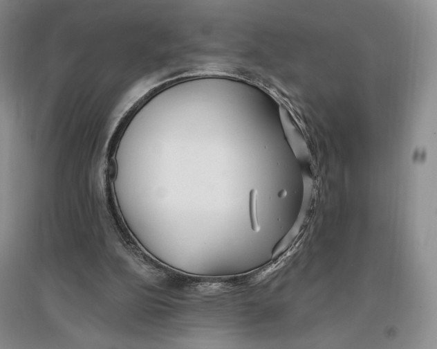 X0000096970152200802291130