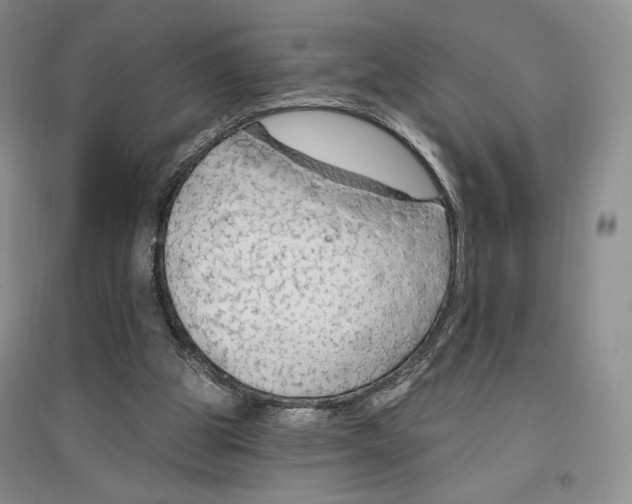 X0000096970153200802291130