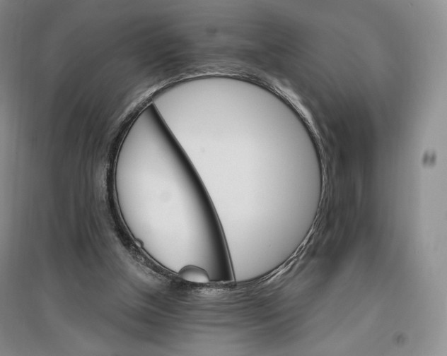 X0000096970154200802291130