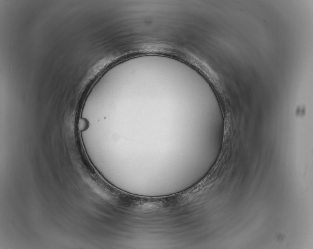 X0000096970155200802291130