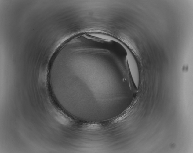 X0000096970156200802291130