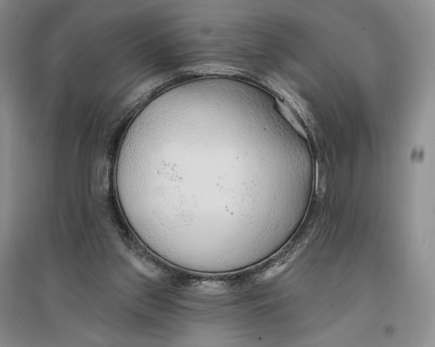 X0000096970157200802291130