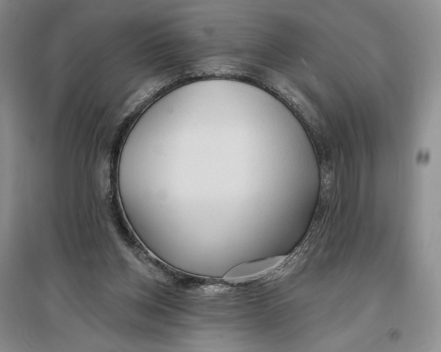 X0000096970158200802291130