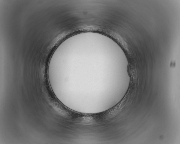 X0000096970159200802291130