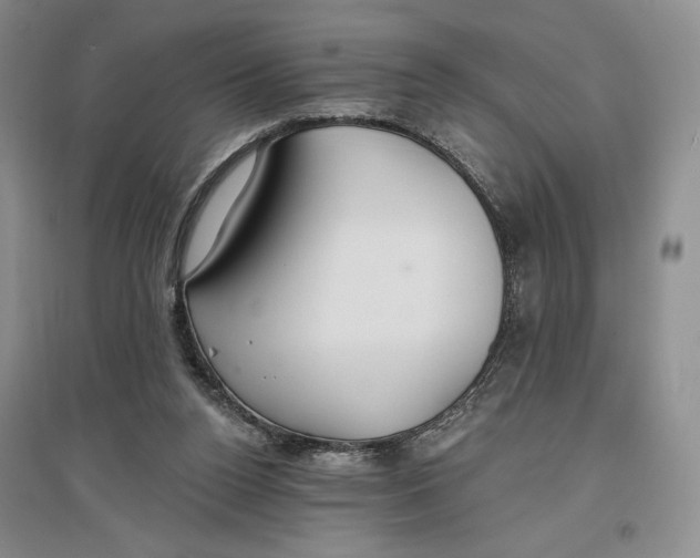 X0000096970160200802291130