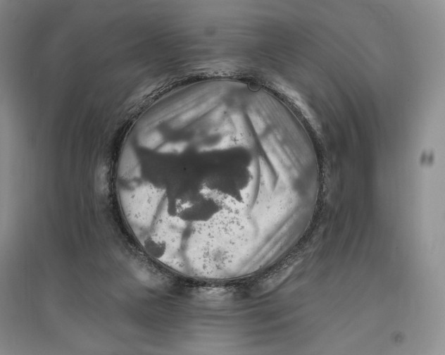 X0000096970161200802291130