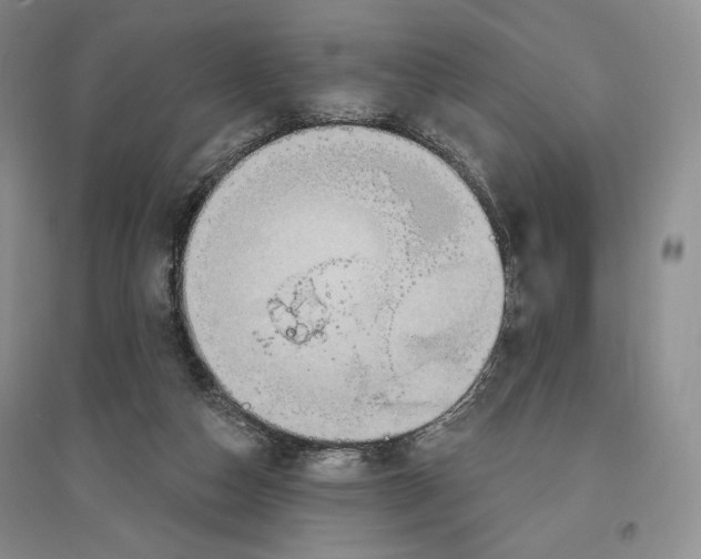 X0000096970162200802291130