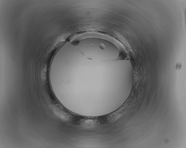 X0000096970163200802291130