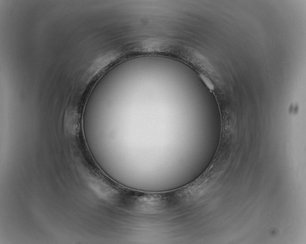 X0000096970164200802291130