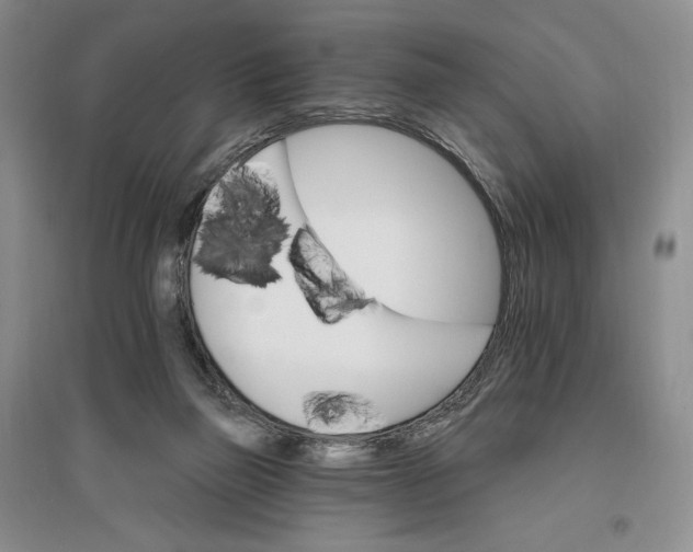 X0000096970165200802291130