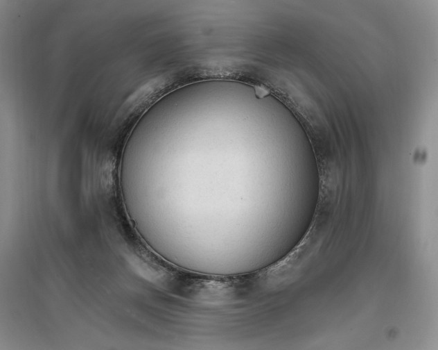 X0000096970166200802291130