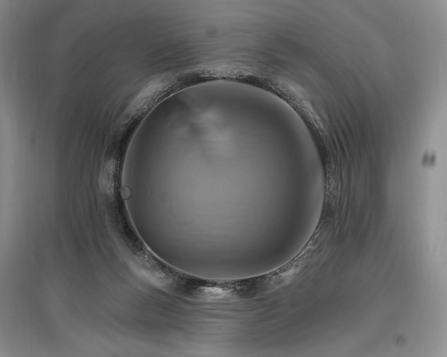 X0000096970167200802291130