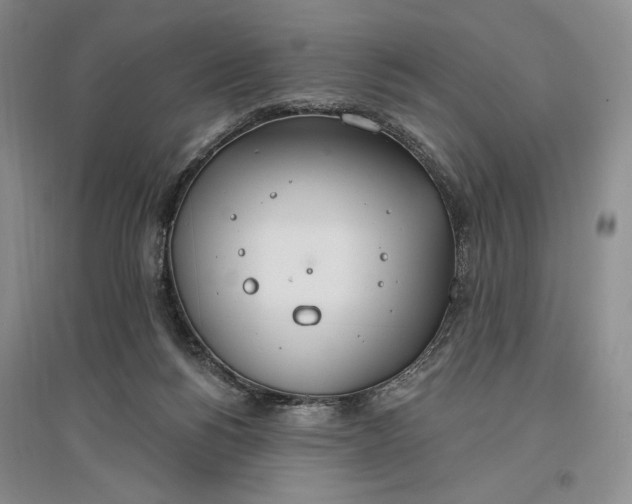 X0000096970168200802291130