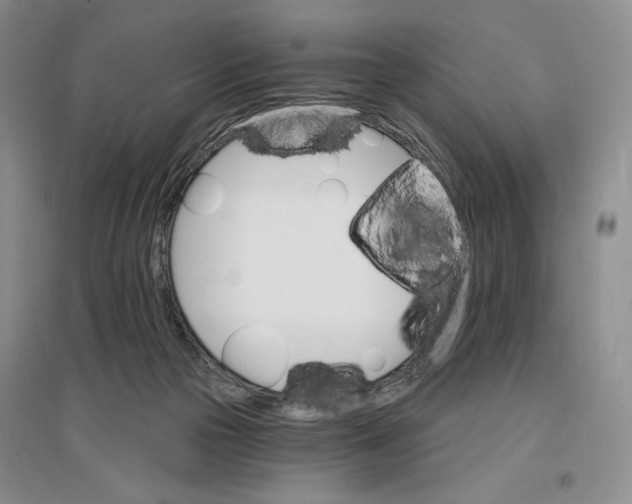 X0000096970169200802291130