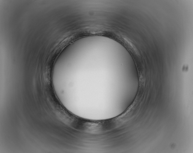 X0000096970170200802291130