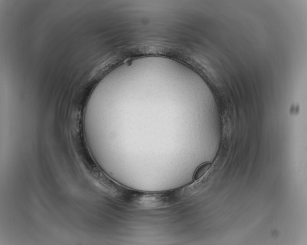 X0000096970171200802291130