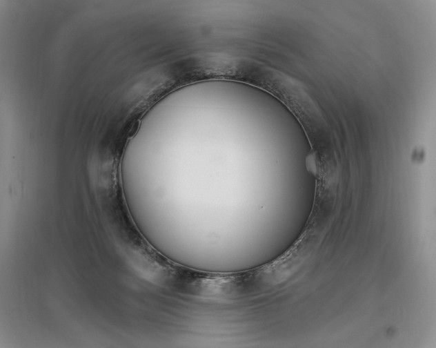 X0000096970172200802291130