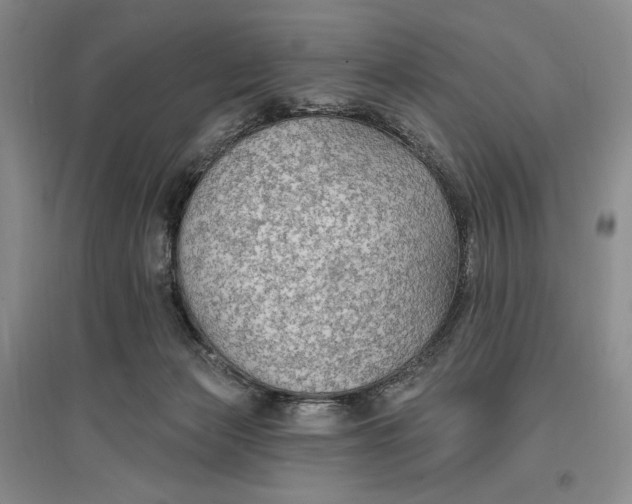 X0000096970173200802291130