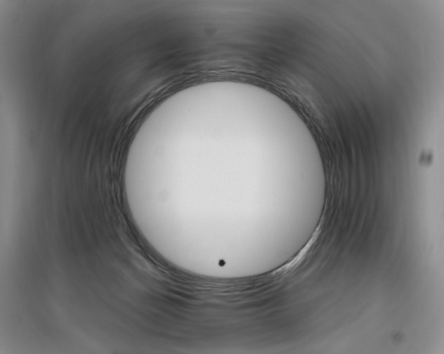 X0000096970174200802291130