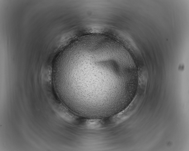 X0000096970175200802291130