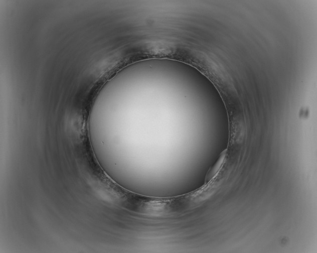 X0000096970176200802291130