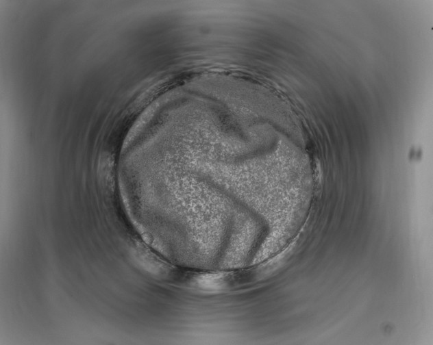 X0000096970178200802291130