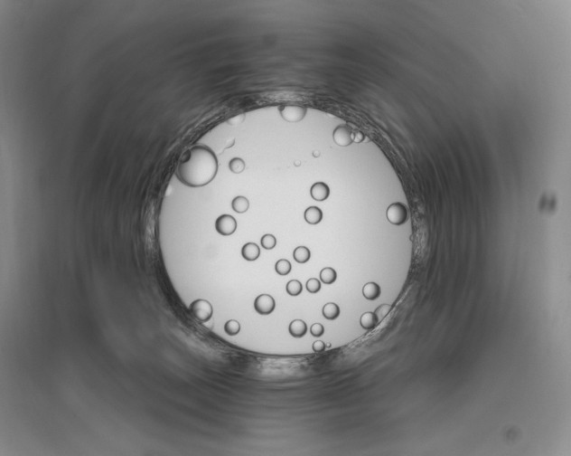 X0000096970179200802291130