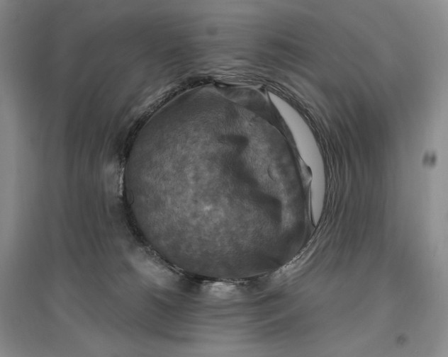 X0000096970180200802291130