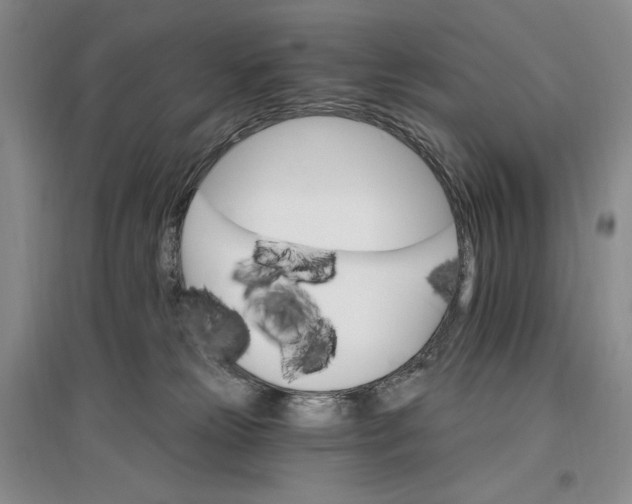 X0000096970181200802291130