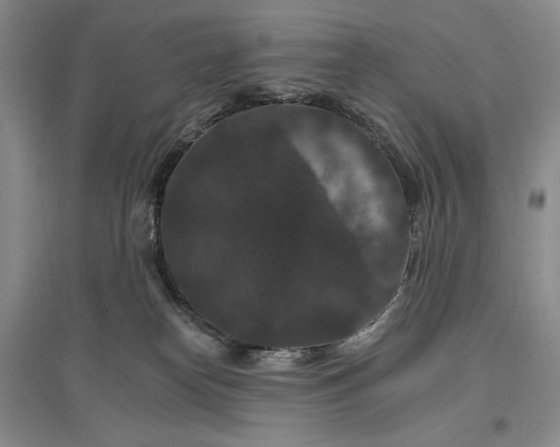 X0000096970182200802291130