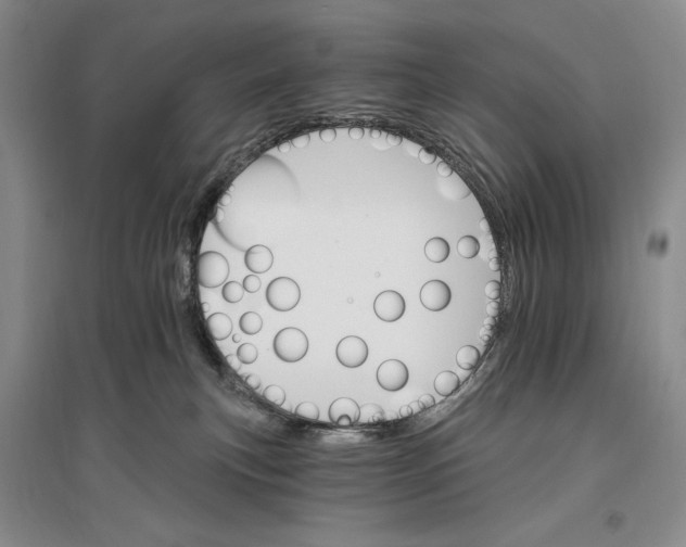 X0000096970183200802291130