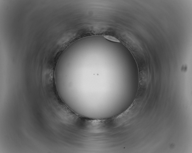 X0000096970184200802291130