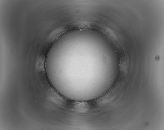 X0000096970185200802291130