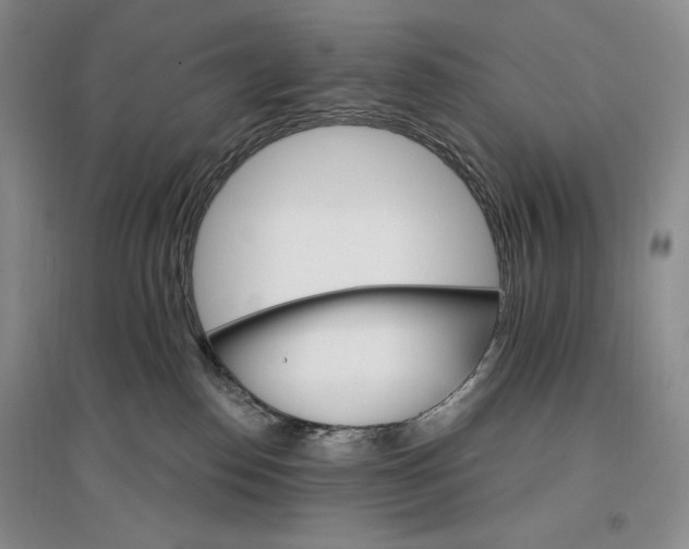 X0000096970186200802291130